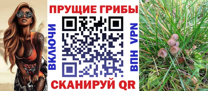 Галлюциногенные грибы Magic Shrooms  дарнет шоп  mega ССЫЛКА  Агрыз 