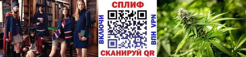 Шишки марихуана марихуана  Агрыз 
